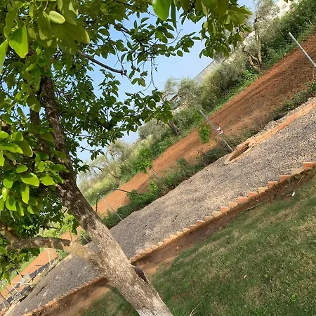 Guest house Casa Laureles Pilas
