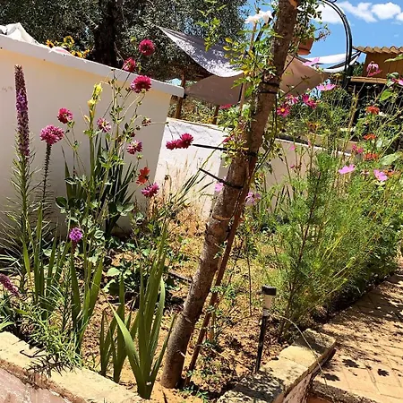 Casa Laureles Guest house